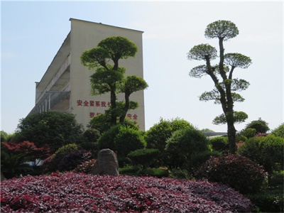 安徽销售薯蓣皂素批发