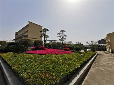 福建销售19-去甲-4-雄烯二酮(酸脱)批发