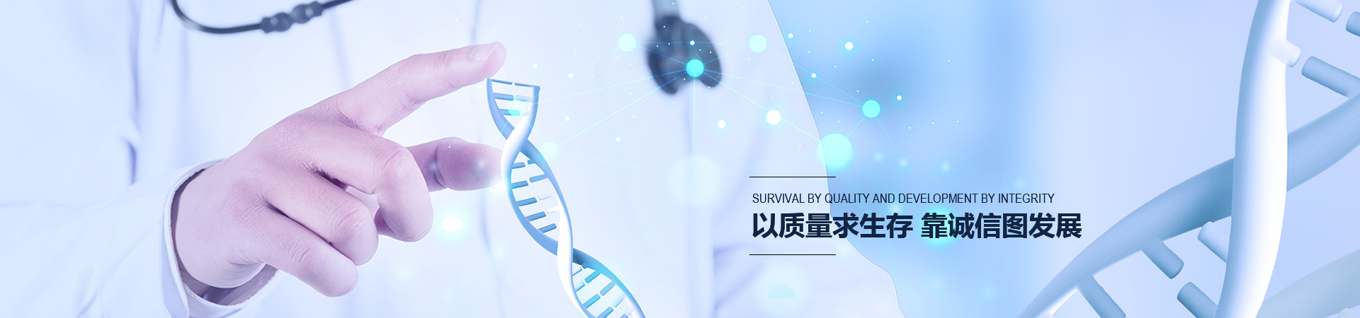公司简介