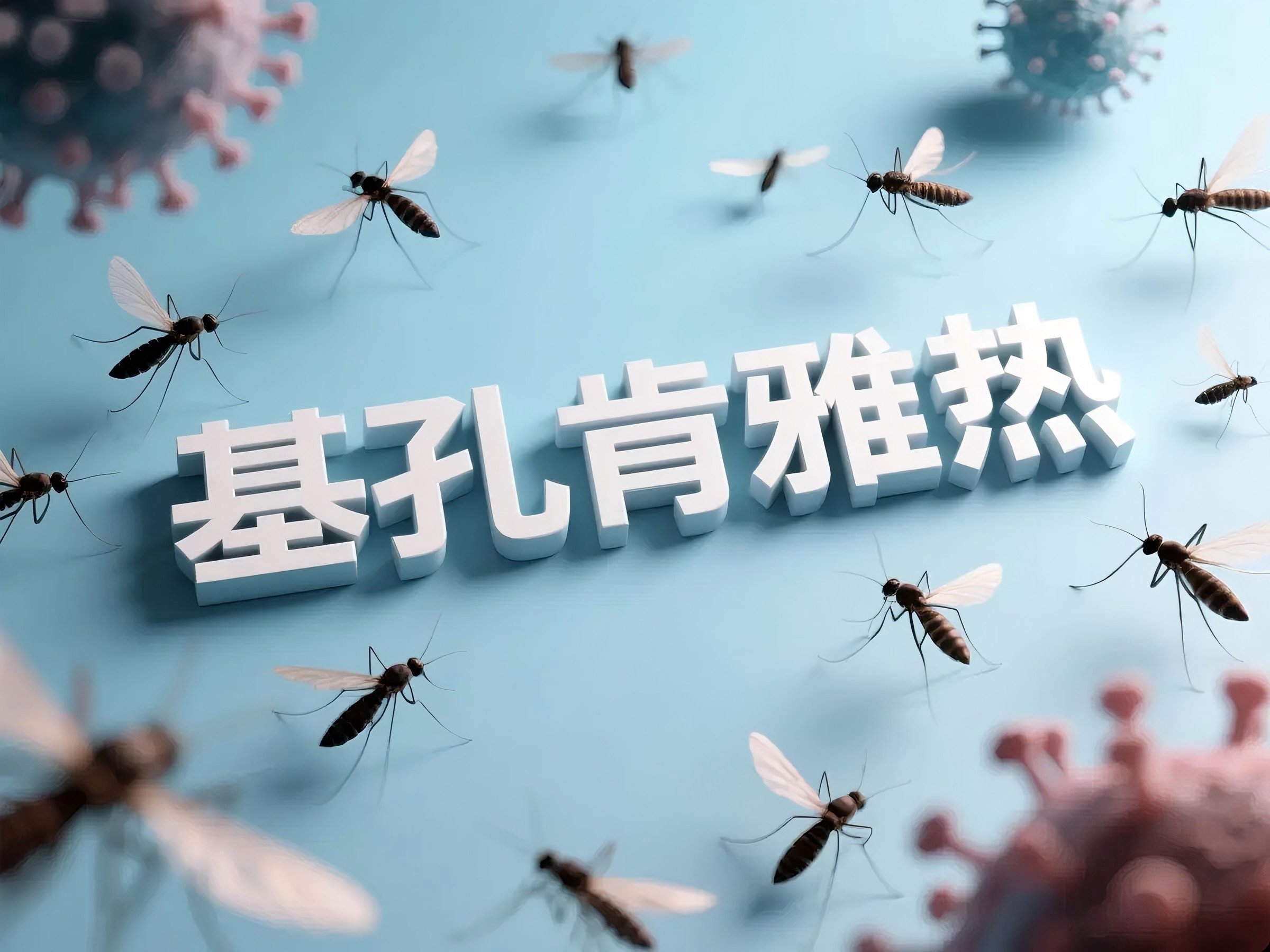 关于基孔肯雅热你知道多少？